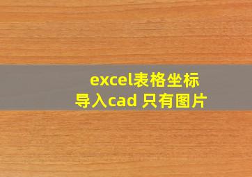 excel表格坐标导入cad 只有图片